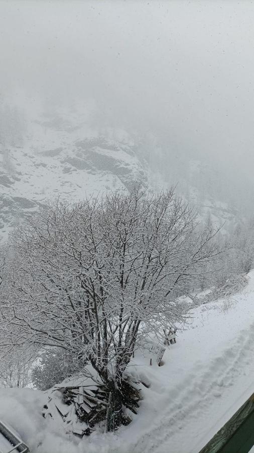 Les Hauts Du Roux Abriès Kültér fotó